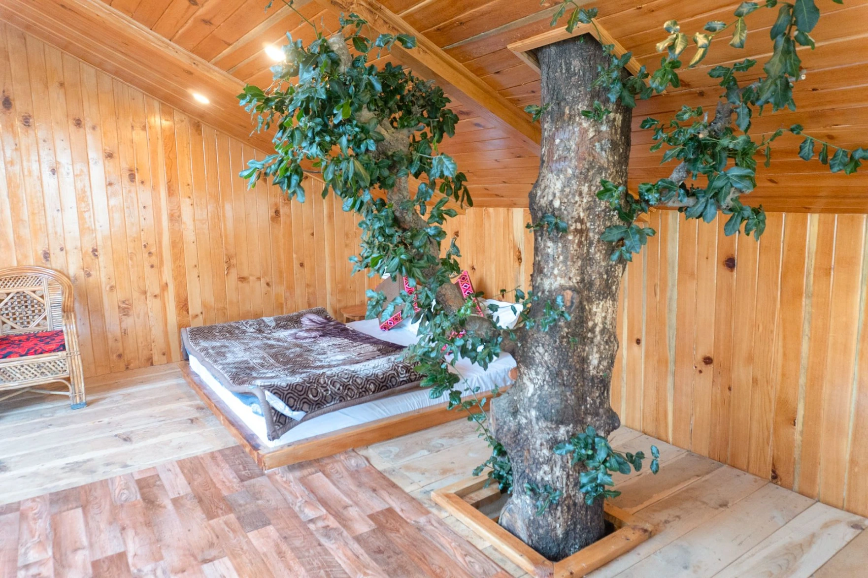 tree house interior